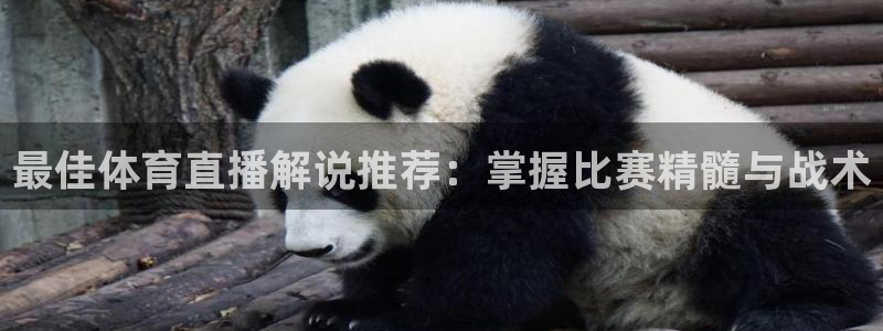 857足球体育赛事直播：最佳体育直播解说推荐：掌握比赛精髓与战术