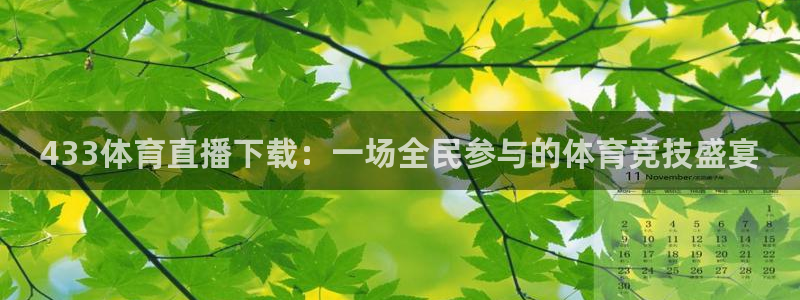 857体育直播间官网：433体育直播下载：一场全民参与的体育竞技盛宴