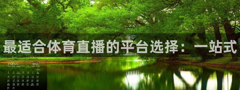 857直播体育足球：最适合体育直播的平台选择：一站式