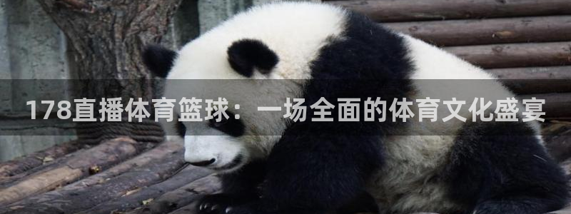 857cba体育赛事直播：178直播体育篮球：一场全面的体育文化盛宴