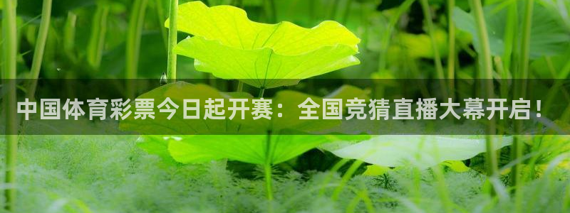 857直播体育nba直播：中国体育彩票今日起开赛：全国竞猜直播大幕开启！