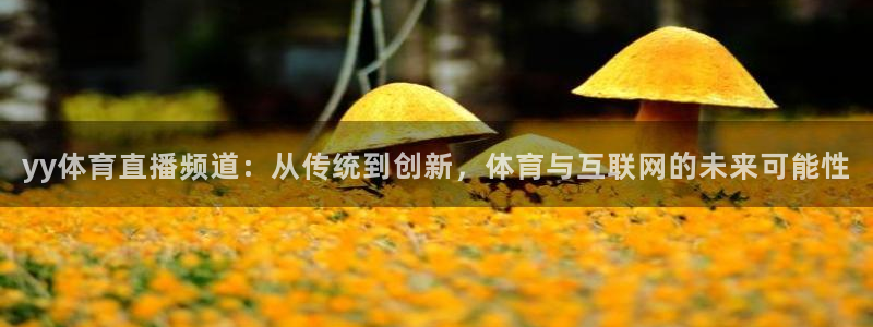 857体育赛事：yy体育直播频道：从传统到创新，体育与互联网的未来可能性