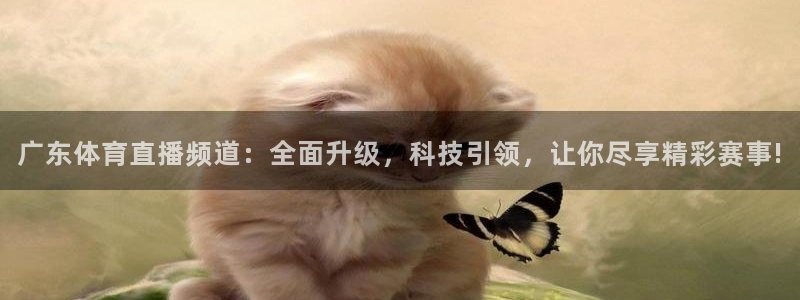 857直播看球平台