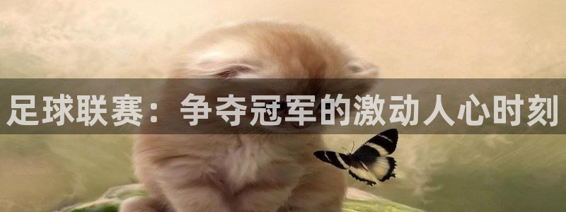 857赛事直播平台