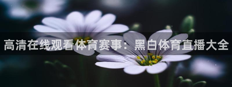 857赛事直播