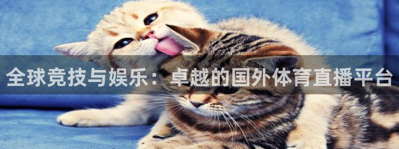 857直播体育在线观看：全球竞技与娱乐：卓越的国外体育直播平台