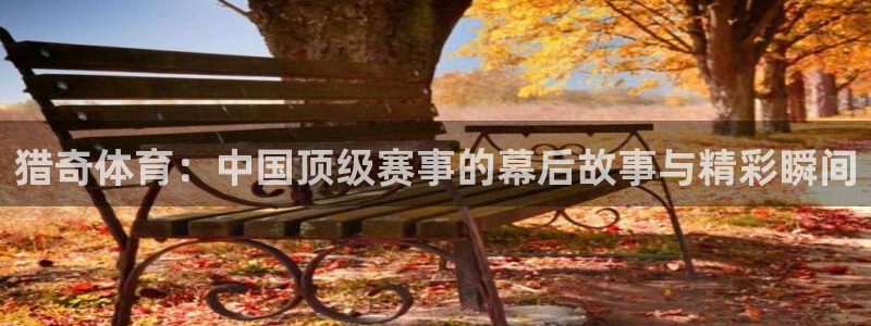 857足球直播在线观看：猎奇体育：中国顶级赛事的幕后故事与精彩瞬间