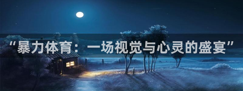 857体育赛事直播平台：“暴力体育：一场视觉与心灵的盛宴”