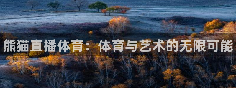 857直播体育在线：熊猫直播体育：体育与艺术的无限可能