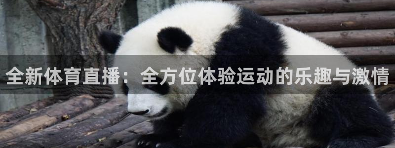 857直播体育app：全新体育直播：全方位体验运动的乐趣与激情