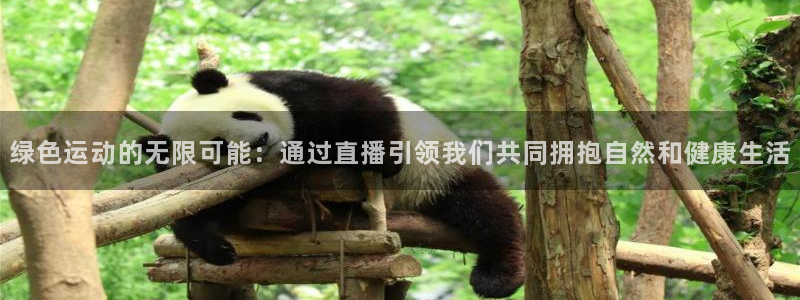 857直播足球免费：绿色运动的无限可能：通过直播引领我们共同拥抱自然和健康生活