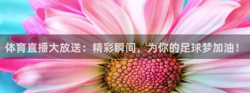857直播体育免费平台：体育直播大放送：精彩瞬间，为你的足球梦加油！